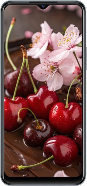 TPU чехол 'Вишня в шоколаде' для Vivo Y21 6698b-669-71694 фото