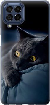 Силіконовий чохол 'Димчастий кіт' для Samsung M53 M536B 825u-2608-71694 фото