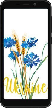 Силиконовый чехол 'Ukraine v2' для Meizu C9 5445u-1627-71694 фото