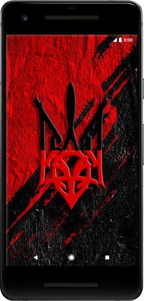 2D пластиковый чехол 'Герб v4' для Google Pixel 2 5293t-1075-71694 фото