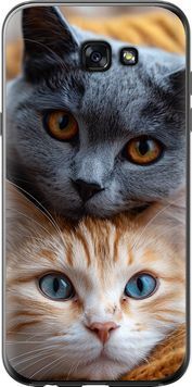 2D пластиковый чехол 'Котики' для Samsung A7 (2017) 6177t-445-71694 фото