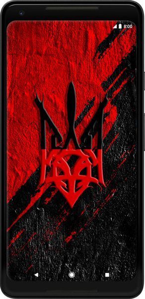 Силиконовый чехол 'Герб v4' для Google PixeL 2 XL 5293u-1643-71694 фото