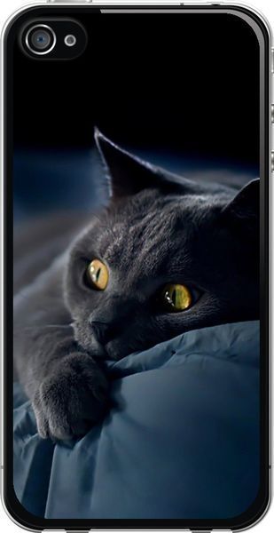 2D пластиковий чохол 'Димчастий кіт' для iPhone 4s 825t-12-71694 фото