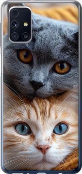 2D пластиковий чохол 'Котята' для Samsung M31s M317F 6177t-2055-71694 фото