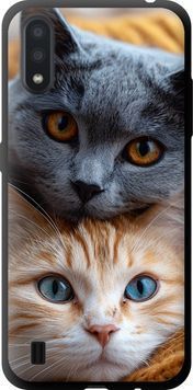 TPU чохол 'Котята' для Samsung A01 A015F 6177b-1842-71694 фото