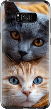 2D пластиковий чохол 'Котята' для Samsung S8 Plus 6177t-817-71694 фото