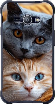 2D пластиковий чохол 'Котята' для Samsung J1 Ace J110H 6177t-215-71694 фото