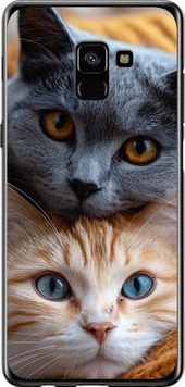 2D пластиковий чохол 'Котята' для Samsung A8 Plus 2018 A730F 6177t-1345-71694 фото