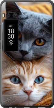 Силиконовый чехол 'Котики' для Meizu Pro 7 Plus 6177u-1131-71694 фото