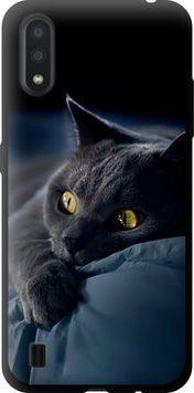 TPU чохол 'Димчастий кіт' для Samsung A01 A015F 825b-1842-71694 фото