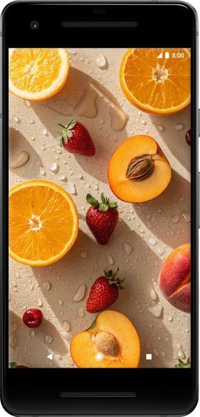 2D пластиковый чехол 'Фрукты 3' для Google Pixel 2 6703t-1075-71694 фото