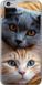 2D пластиковый чехол 'Котики' для iPhone 6 6177t-45-71694 фото 2