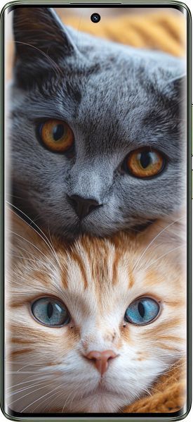 TPU чехол 'Котики' для Realme 11 Pro 6177b-3077-71694 фото