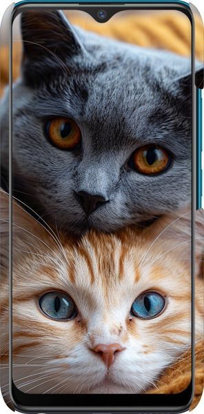 3D пластиковий матовий чохол 'Котята' для Vivo Y11 6177m-629-71694 фото