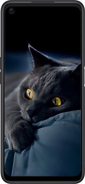 Силиконовый чехол 'Дымчатый кот' для Oppo A96 825u-2598-71694 фото