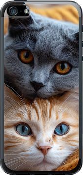 Силиконовый чехол 'Котики' для iPhone SE 6177u-214-71694 фото