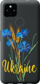 Силиконовый чехол 'Ukraine v2' для Google Pixel 4A 5G 5445u-2867-71694 фото