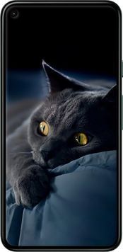 Силиконовый чехол 'Дымчатый кот' для Google Pixel 5 825u-2044-71694 фото